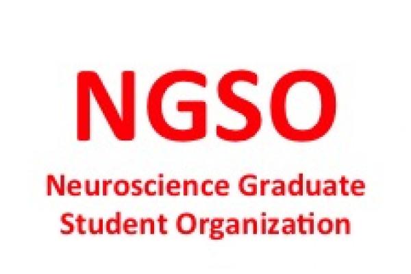 NGSO logo